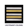 Galon de Poitrine Gendarmerie Départementale - Plastifié